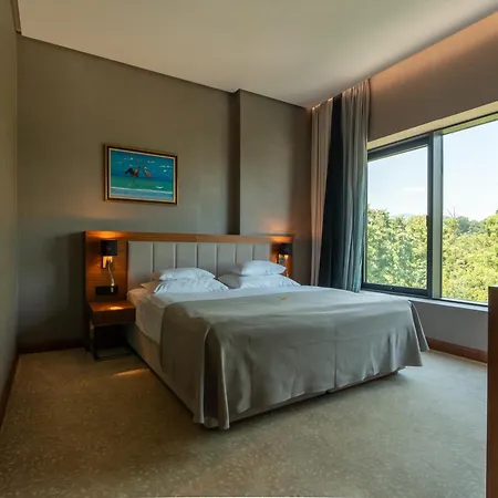 Tonanti 4* Vrnjačka Banja